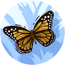 Carolina Cruz Carolina Cruz