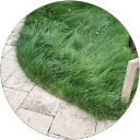 Elmer Lopez Elmer Lopez